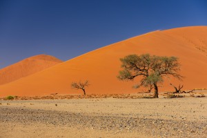 Namibia_2018-2